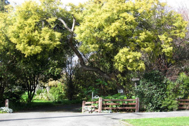 Photo of property in 115a South Road, Solway, Masterton, 5810