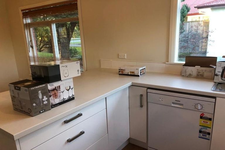 Photo of property in 58 Totara Street, Lansdowne, Masterton, 5810