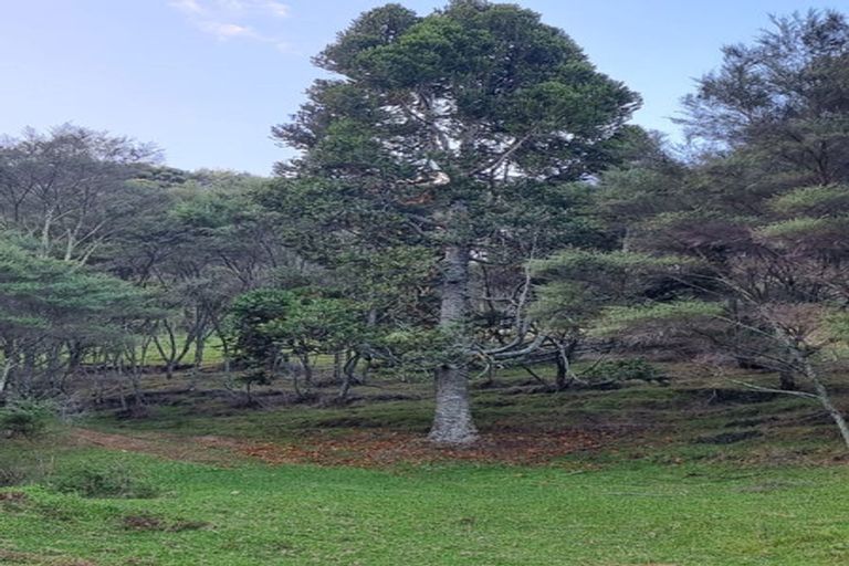 Photo of property in 389 Rimmer Road, Helensville, 0875