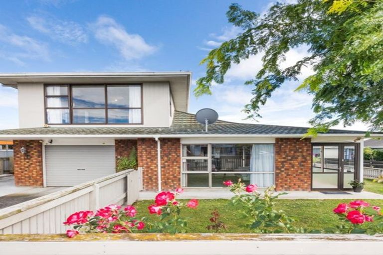 Photo of property in 111 College Street, Awapuni, Palmerston North, 4412