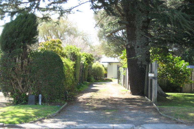 Photo of property in 20 Barry Avenue, Whakatane, 3120