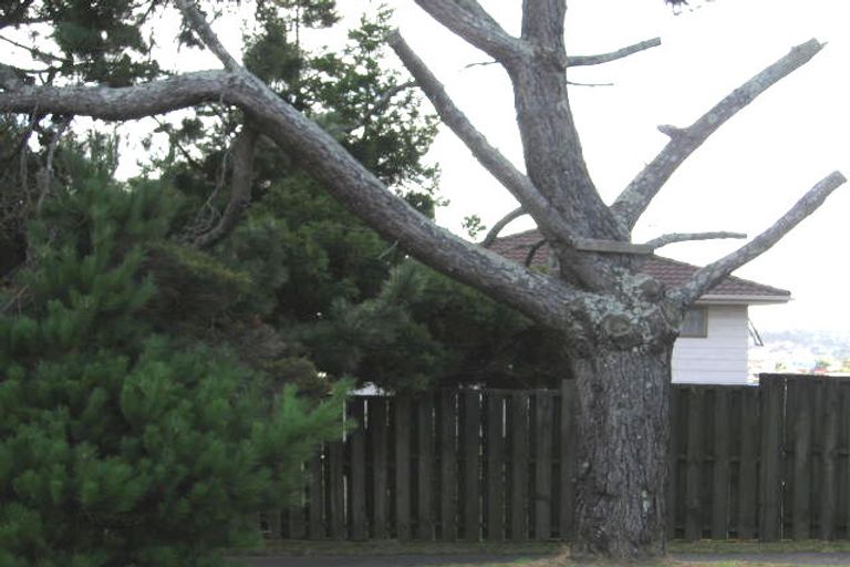 Photo of property in 53 Sunset Road, Totara Vale, Auckland, 0632