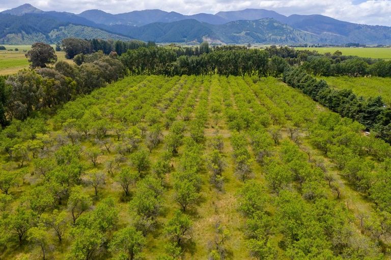 Photo of property in 244 Neal Road, Spring Creek, Blenheim, 7273