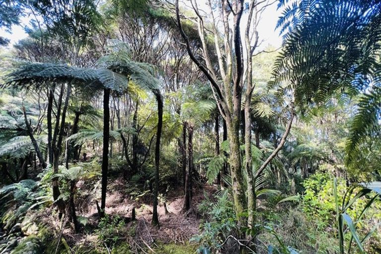 Photo of property in 600 Buffalo Road, Coromandel, 3506