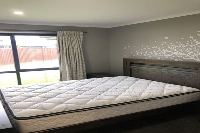 Photo of property in 20 Asheridge Place, Wigram, Christchurch, 8025