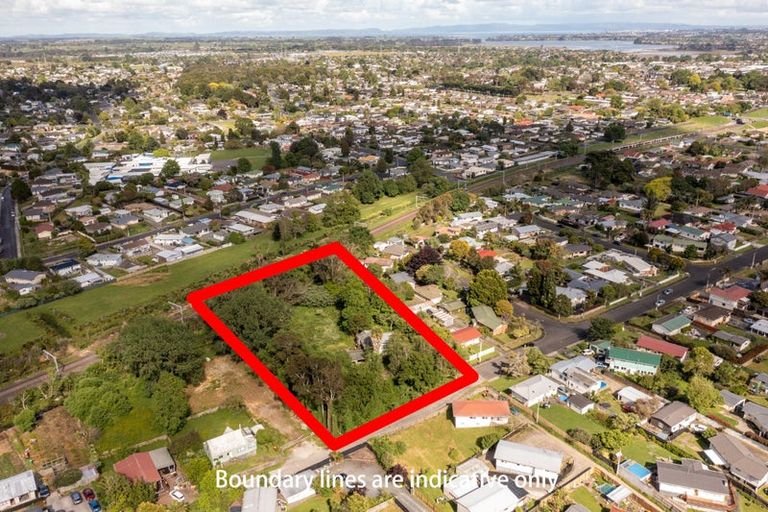 Photo of property in 99 Marne Road, Papakura, 2110