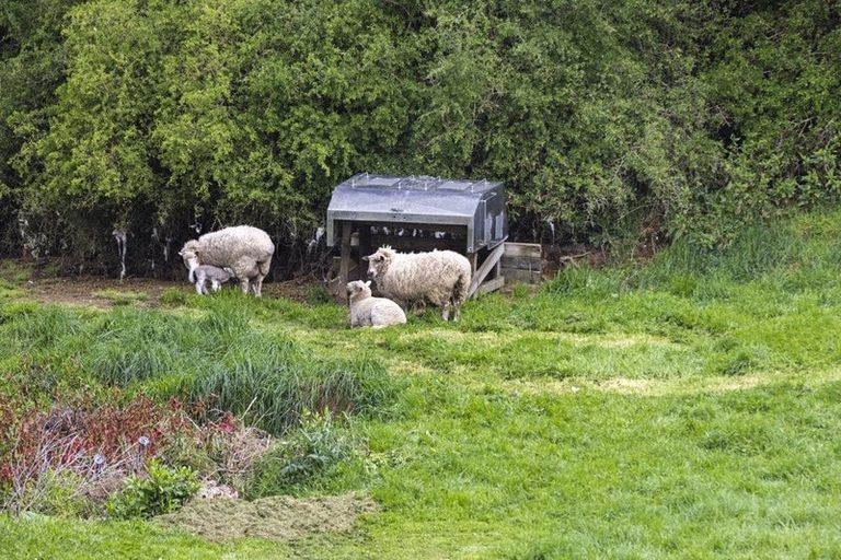 Photo of property in 197b Turuturu Road, Hawera, 4674