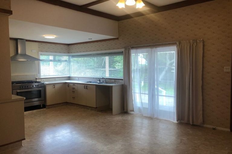 Photo of property in 65 Mako Mako Road, Levin, 5510