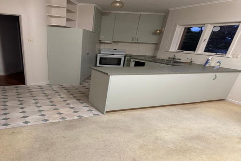 Photo of property in 29 Hillcrest Grove, Hillpark, Auckland, 2102