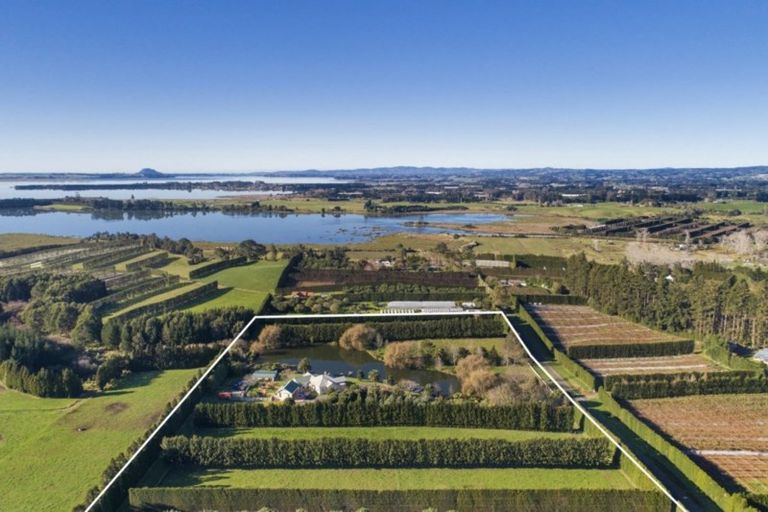 Photo of property in 98 Tetley Road, Tahawai, 3178