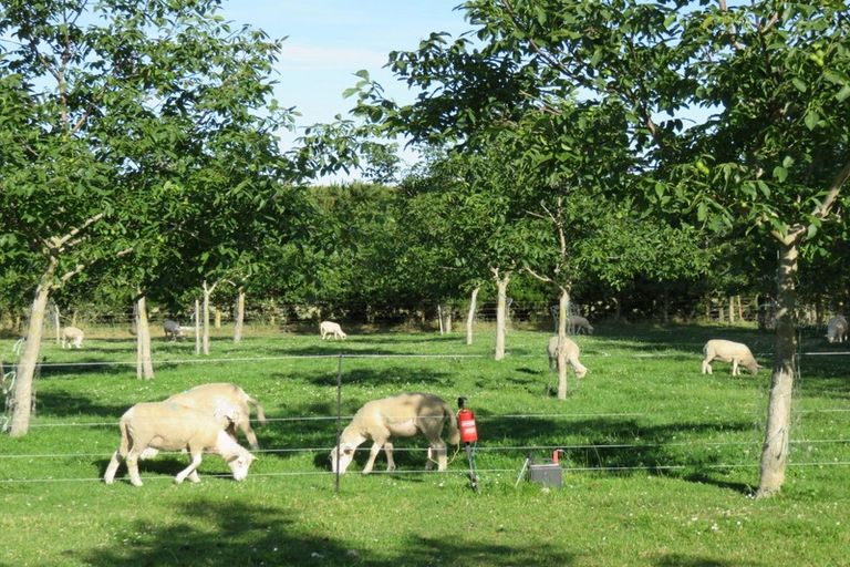 Photo of property in 556 Steffens Road, Starvation Hill, Oxford, 7495