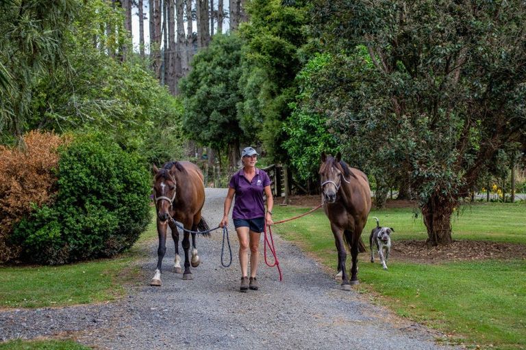 Photo of property in 64b Moumoukai Road, Hunua, Papakura, 2583