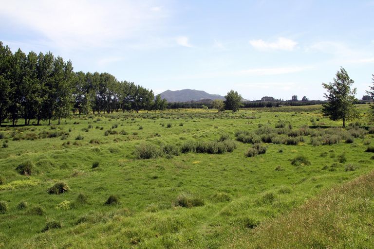 Photo of property in 3320 Far North Road, Pukenui, Kaitaia, 0484