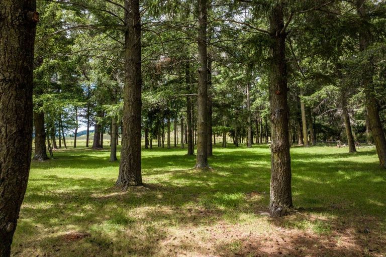 Photo of property in 2617 State Highway 63, Wairau Valley, Blenheim, 7271