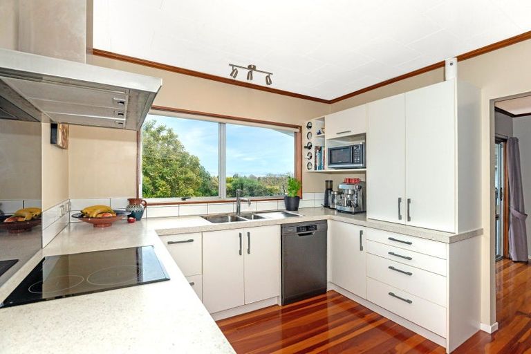 Photo of property in 51 Seddon Crescent, Whataupoko, Gisborne, 4010