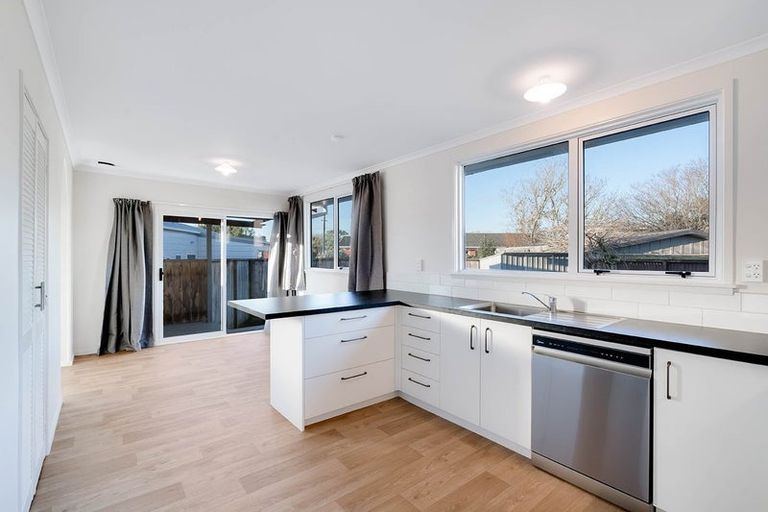 Photo of property in 60 Fitzroy Avenue, Fitzroy, Hamilton, 3206