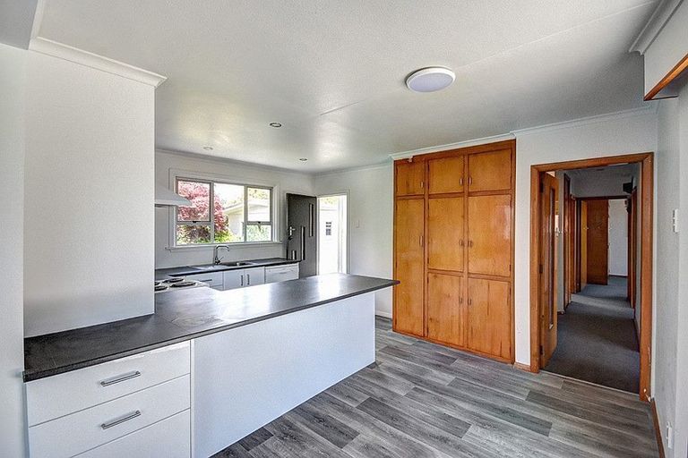 Photo of property in 217 Union Street, Milton, 9220