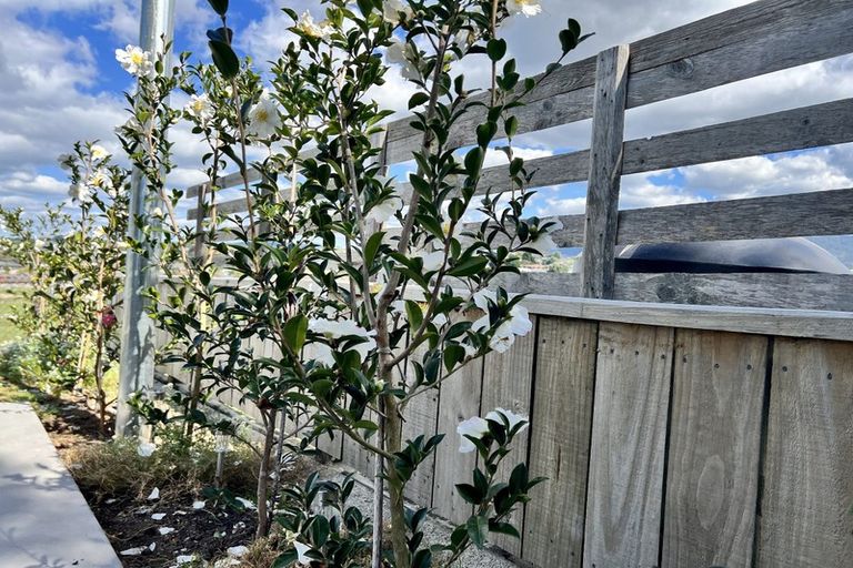 Photo of property in 7c Jellicoe Street, Te Puke, 3119