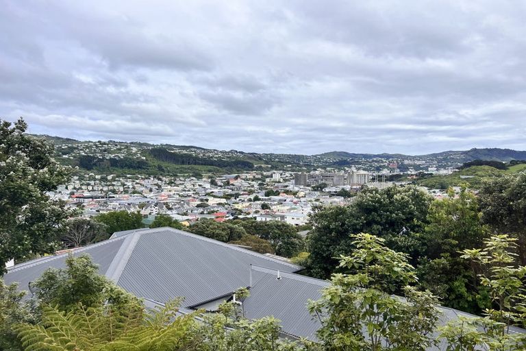 Photo of property in 141 Coromandel Street, Newtown, Wellington, 6021