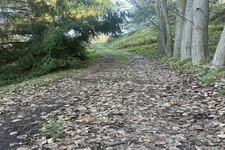 Photo of property in 20 Ballantyne Road, Poraiti, Napier, 4182