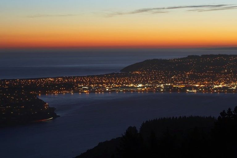 Photo of property in 88 York Place, Dunedin Central, Dunedin, 9016