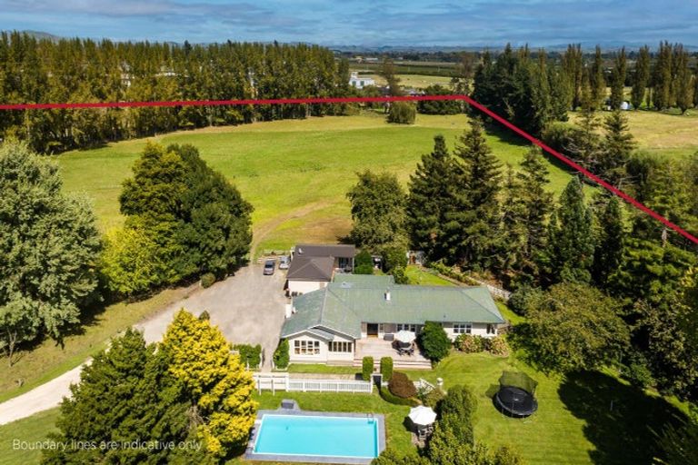 Photo of property in 59 York Road, Longlands, Hastings, 4120