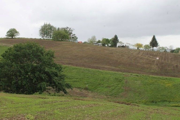 Photo of property in 457 Rotokauri Road, Rotokauri, Hamilton, 3289