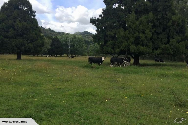 Photo of property in 393 Wentworth Valley Road, Whangamata, 3691