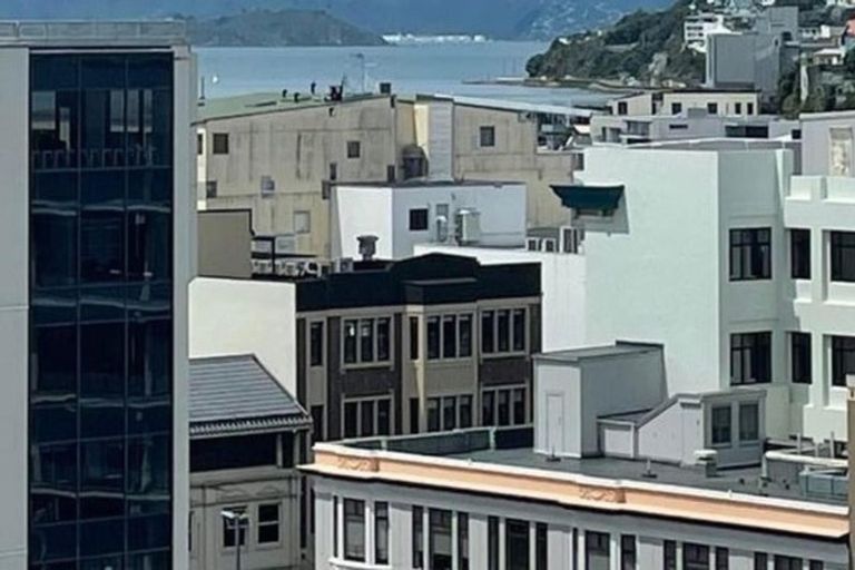 Photo of property in Monvie Apartments, 804/15 Holland Street, Te Aro, Wellington, 6011