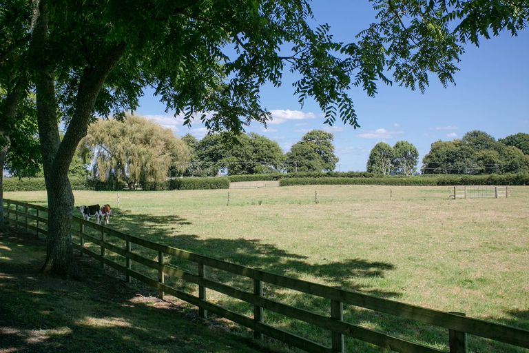 Photo of property in Taihoa Road South, Matamata, 3473