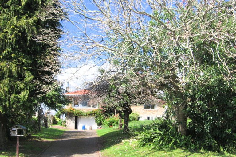 Photo of property in 74 Esk Street, Parkvale, Tauranga, 3112