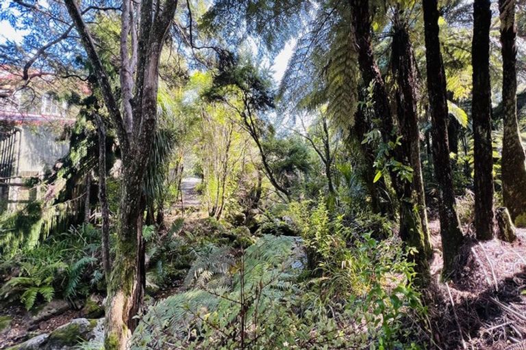 Photo of property in 600 Buffalo Road, Coromandel, 3506