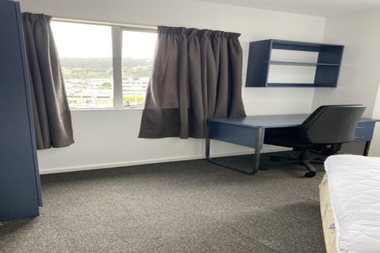 Photo of property in Basin Reserve Complex, 60/4 Sussex Street, Mount Cook, Wellington, 6021