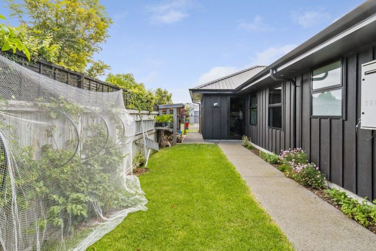 Photo of property in 12 Serenity Drive, Omokoroa, 3114
