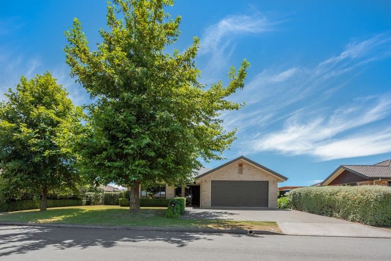 Photo of property in 29 Tremorne Avenue, Blenheim, 7201