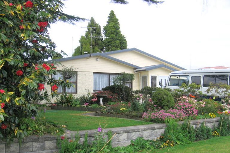 Photo of property in 25 Ngahere Street, Otumoetai, Tauranga, 3110