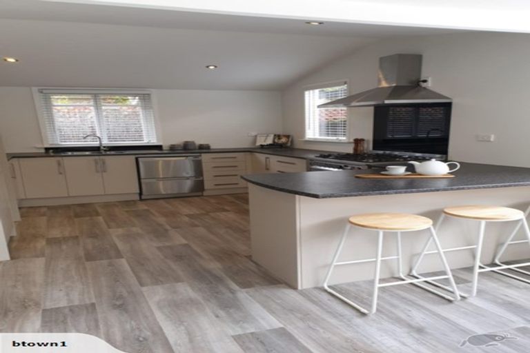 Photo of property in 39 Petrie Street, Richmond, Christchurch, 8013