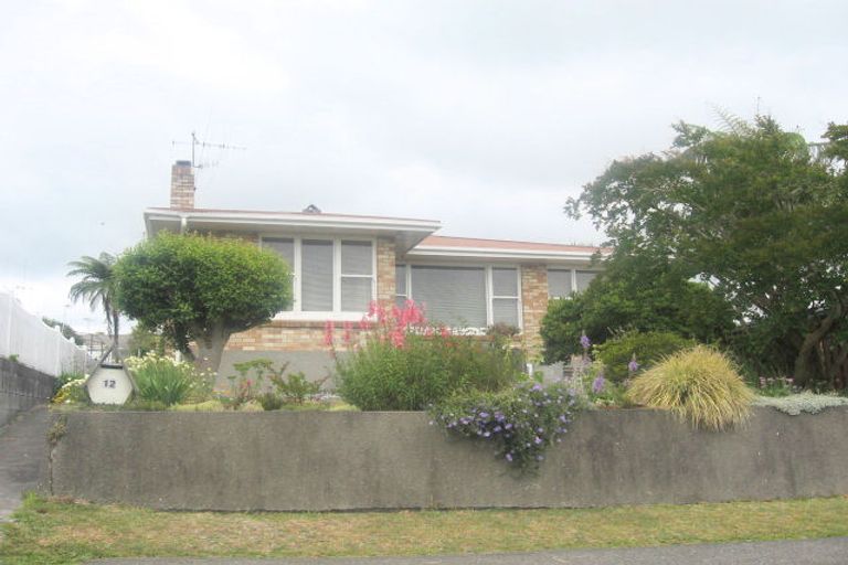 Photo of property in 12 Glen Terrace, Te Puke, 3119