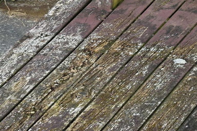 Photo of property in 17 Harold Avenue, Kaikohe, 0405