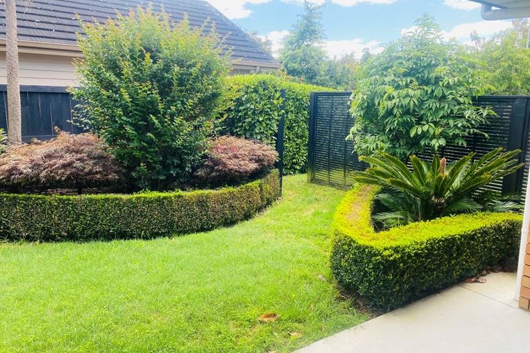 Photo of property in 43 Tulip Drive, Cambridge, 3434