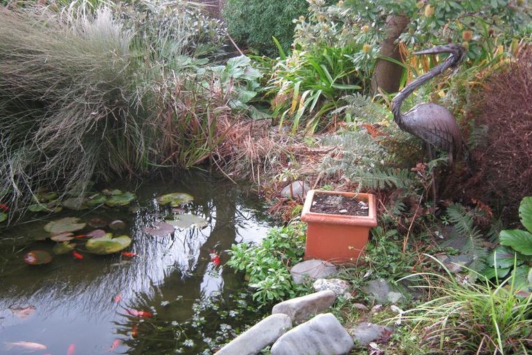 Photo of property in 10a Connolly Street, Geraldine, 7930