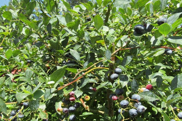 Photo of property in 549a Seddon Road, Gordonton, Hamilton, 3287