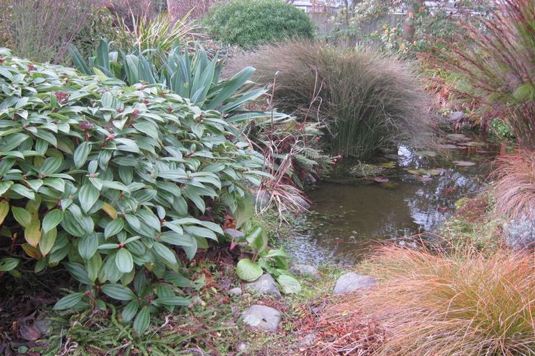 Photo of property in 10a Connolly Street, Geraldine, 7930