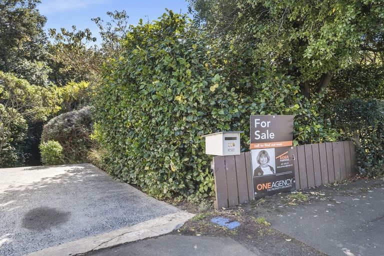 Photo of property in 119 Signal Hill Road, Opoho, Dunedin, 9010