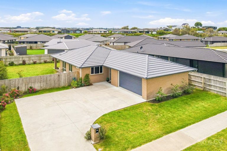 Photo of property in 63 Tawhero Street, Gonville, Whanganui, 4501
