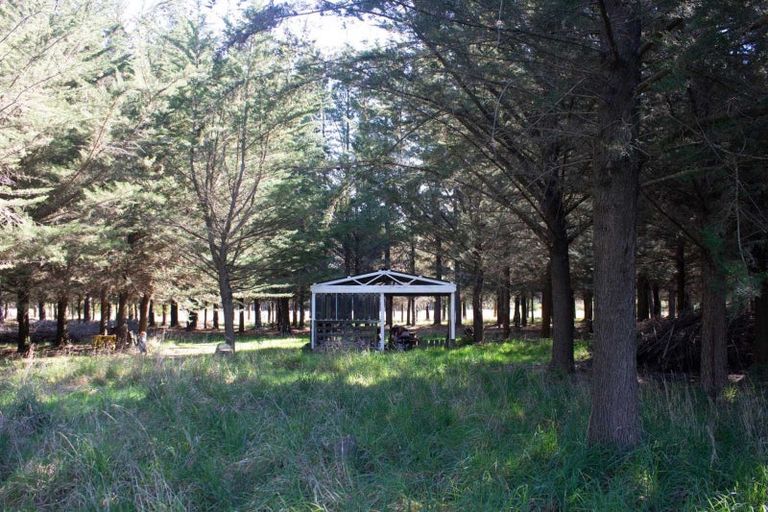 Photo of property in 37 Pesters Road, Eyrewell, Rangiora, 7476