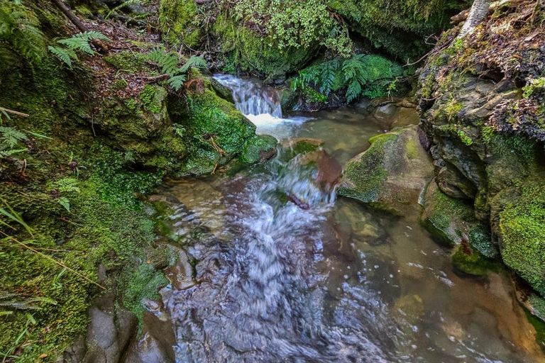 Photo of property in 288 Matiri Valley Road, Matiri, Murchison, 7077