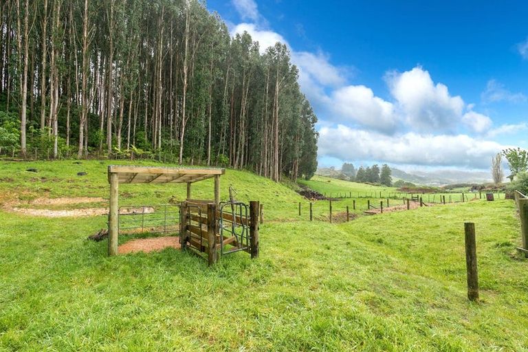 Photo of property in 265c Hakarimata Road, Ngaruawahia, 3793
