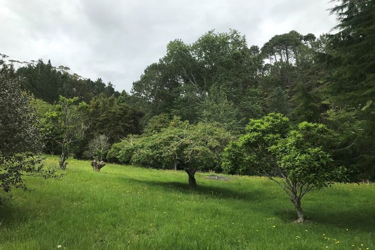 Photo of property in 851 Purangi Road, Cooks Beach, Whitianga, 3591