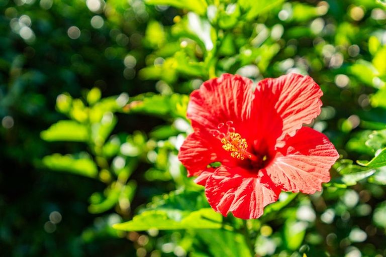 Photo of property in 8 Grove Road, Mangawhai Heads, Mangawhai, 0505